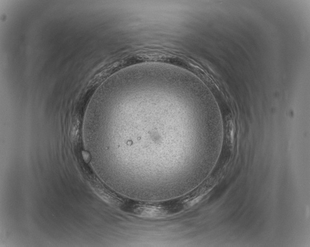 X0000085210507200703161222