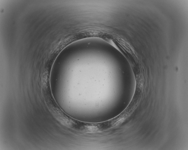 X0000085210509200703161222