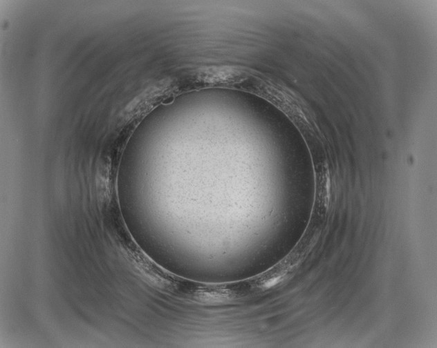 X0000085210510200703161222