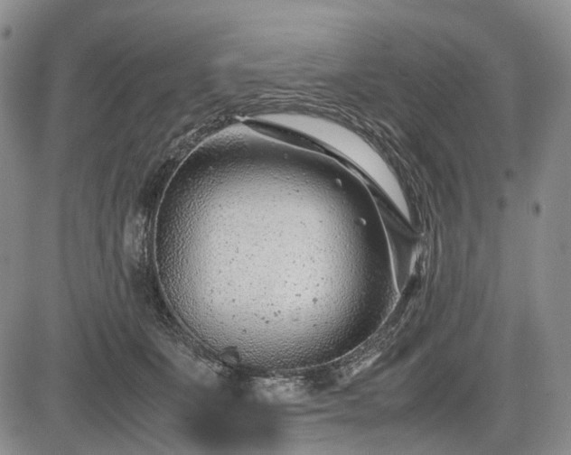 X0000085210511200703161222