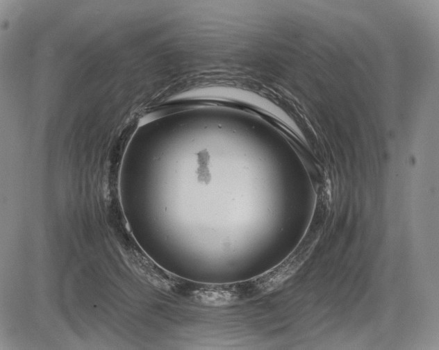 X0000085210512200703161222