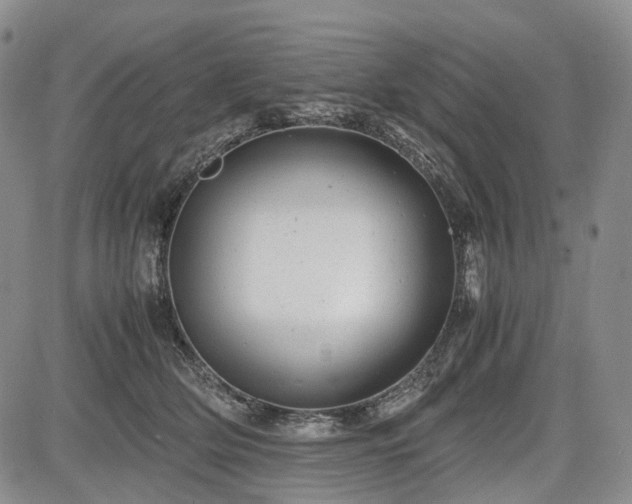 X0000085210514200703161222