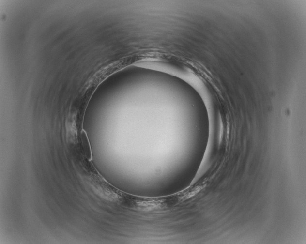 X0000085210516200703161222