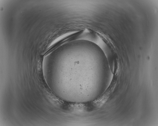 X0000085210517200703161222