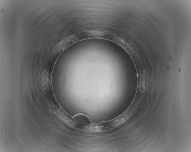 X0000085210518200703161222