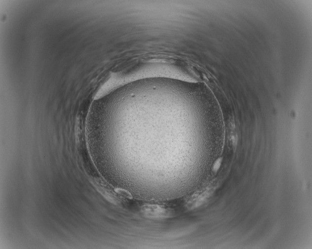 X0000085210519200703161222