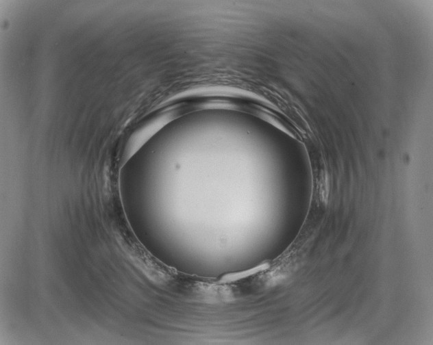 X0000085210520200703161222