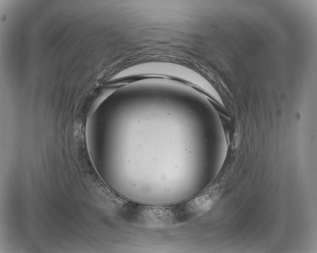 X0000085210521200703161222