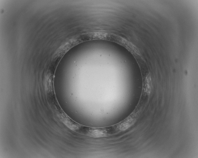 X0000085210522200703161222