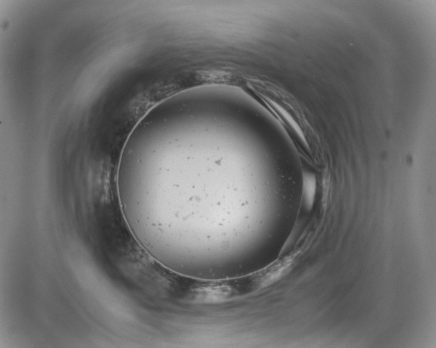 X0000085210525200703161222