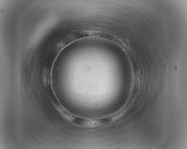 X0000085210527200703161222