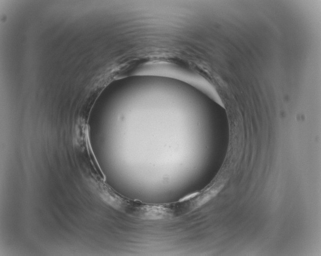 X0000085210528200703161222