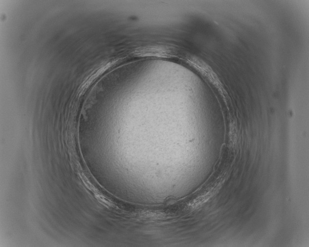 X0000085210529200703161221