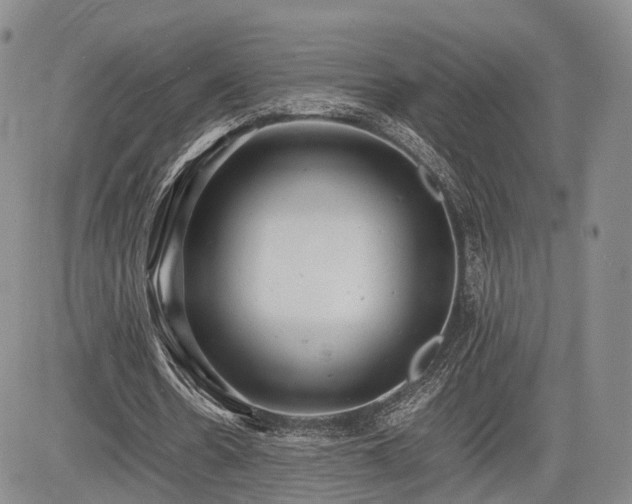 X0000085210530200703161221