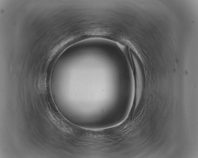 X0000085210531200703161221