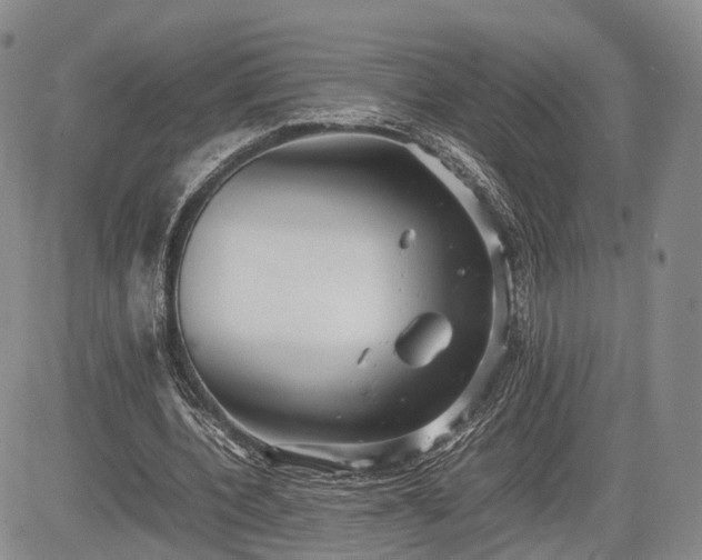 X0000085210532200703161221