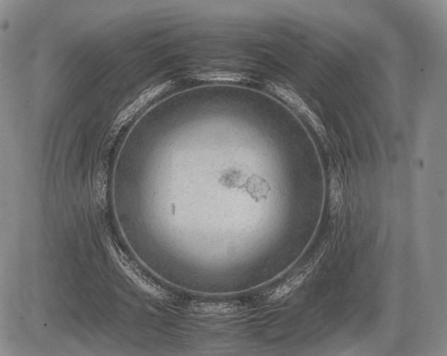 X0000085210533200703161221