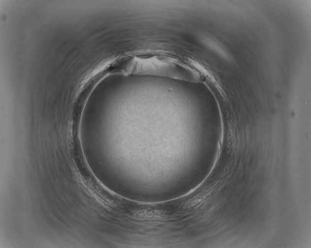 X0000085210535200703161221