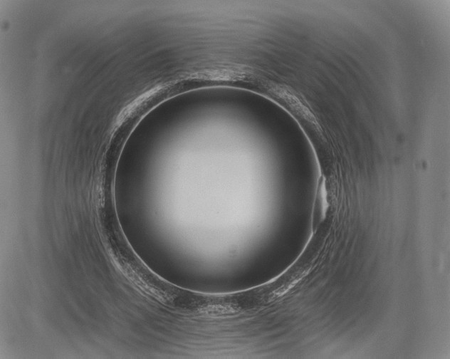 X0000085210536200703161221