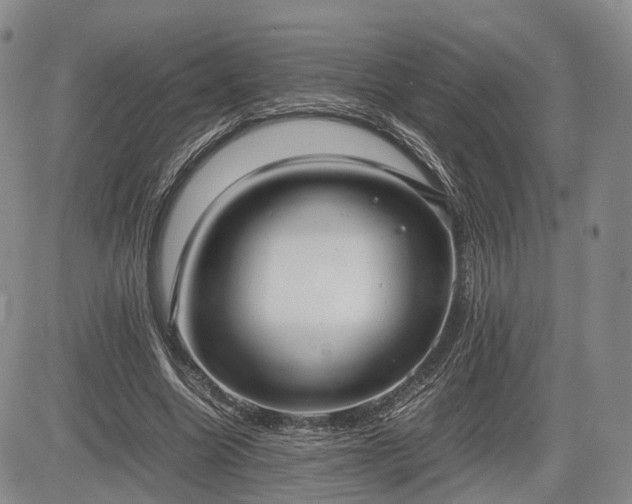 X0000085210538200703161221