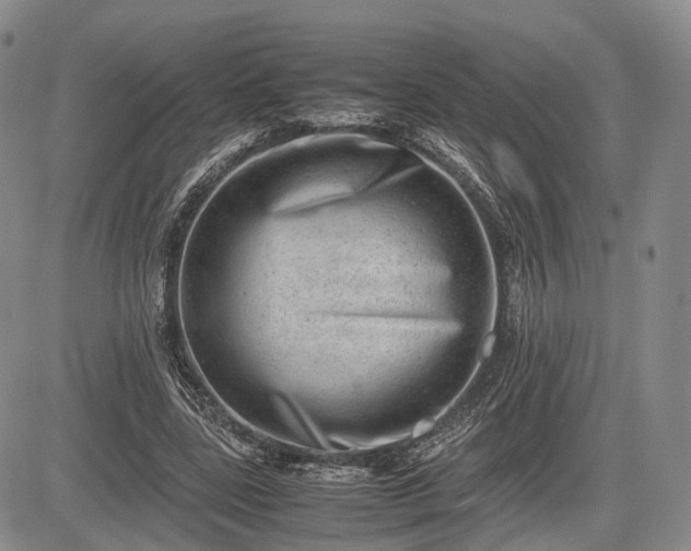 X0000085210539200703161221