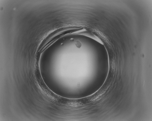 X0000085210540200703161221