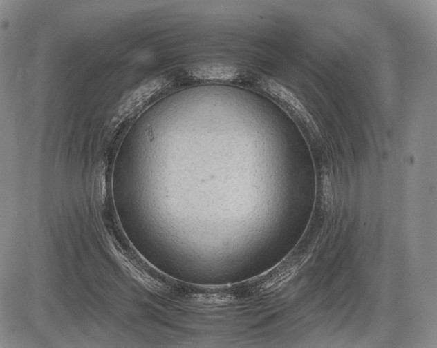 X0000085210541200703161221