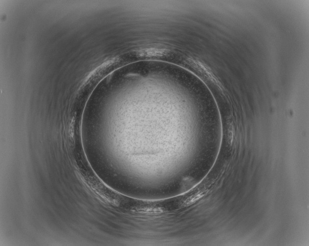 X0000085210543200703161222