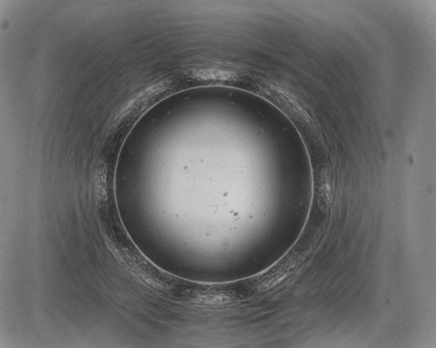 X0000085210547200703161222