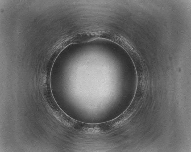 X0000085210548200703161222