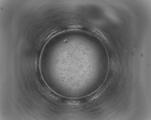 X0000085210549200703161222