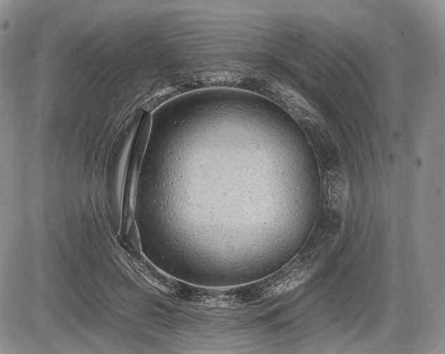 X0000085210550200703161222