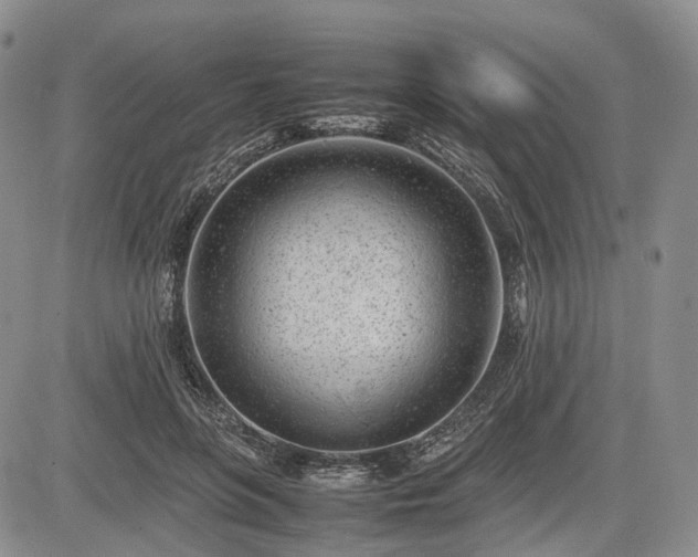 X0000085210551200703161222