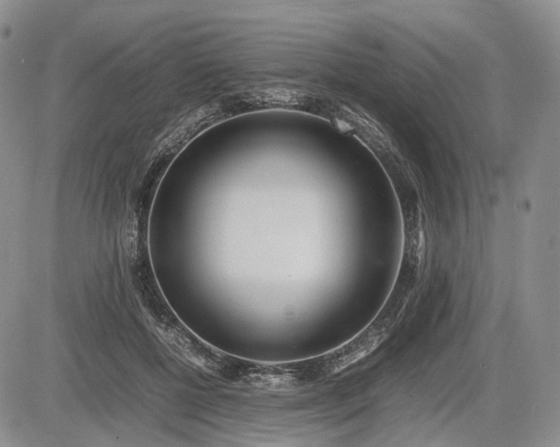 X0000085210552200703161222