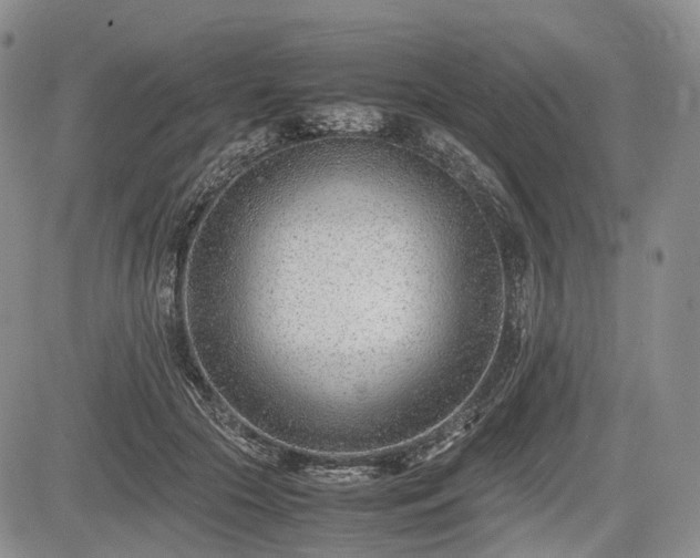 X0000085210553200703161222