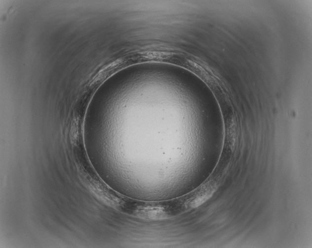 X0000085210554200703161222