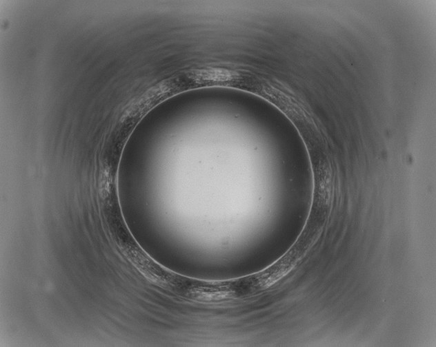 X0000085210555200703161222