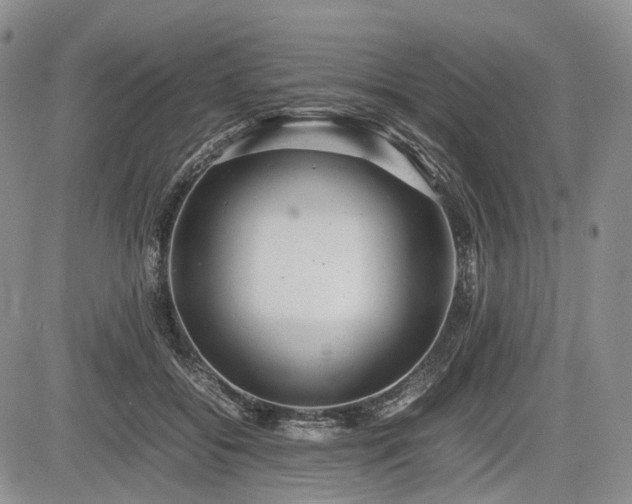 X0000085210556200703161222