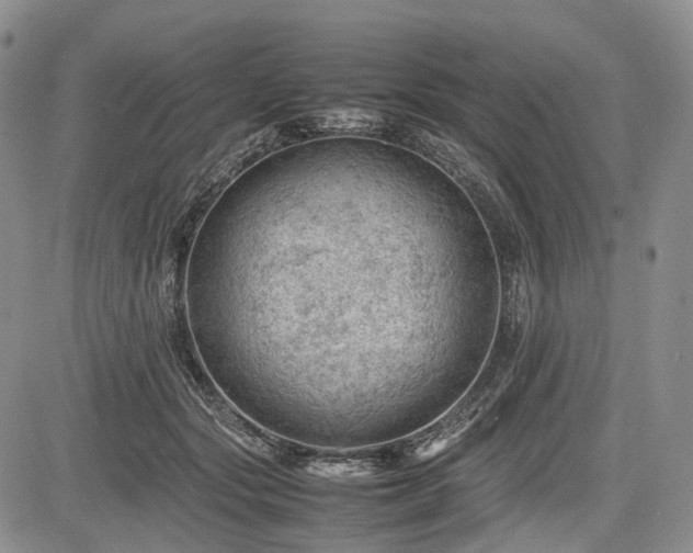 X0000085210557200703161222