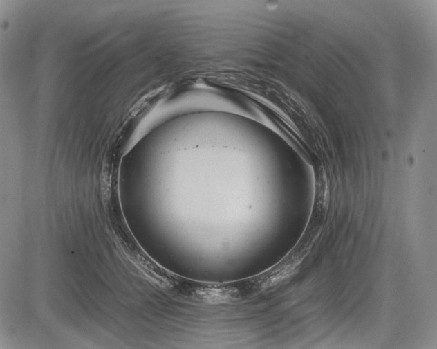 X0000085210558200703161222