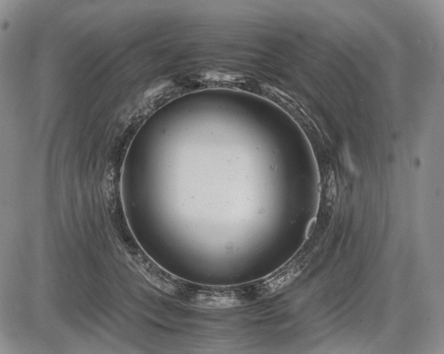 X0000085210559200703161222