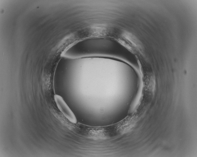 X0000085210560200703161222