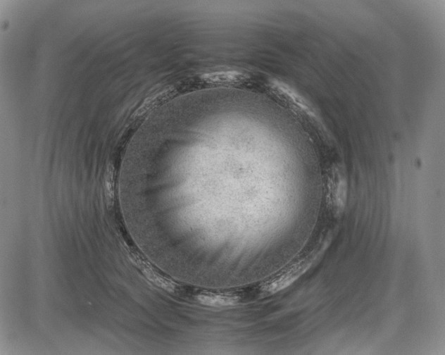 X0000085210561200703161222