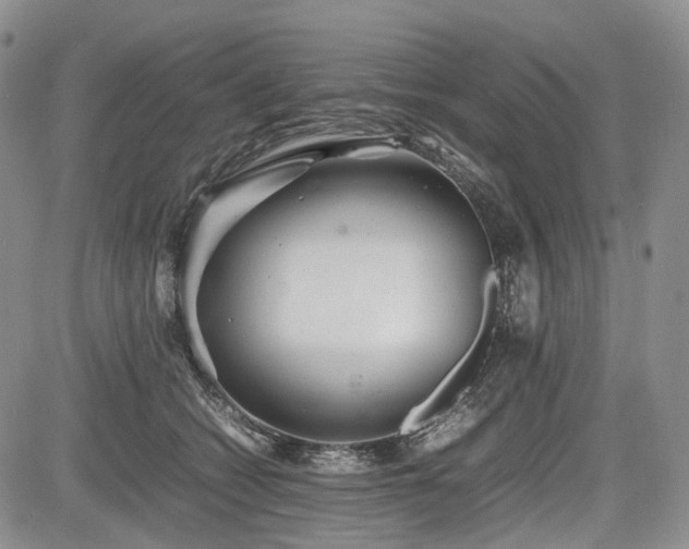 X0000085210562200703161222