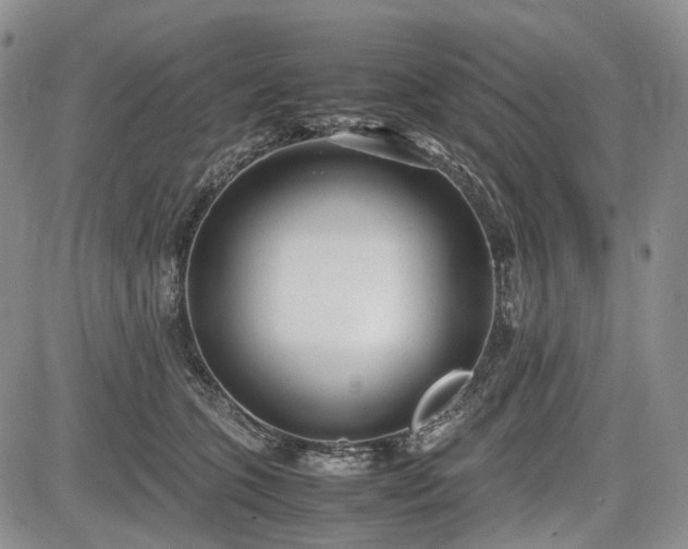 X0000085210563200703161222