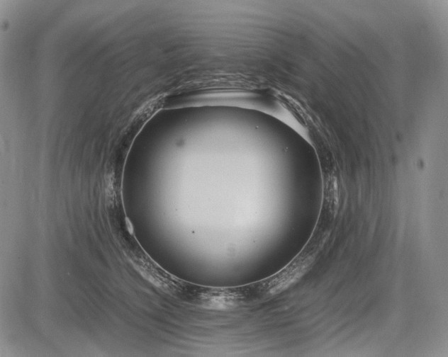 X0000085210564200703161222