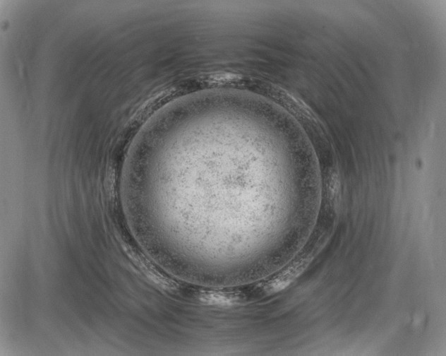 X0000085210565200703161222