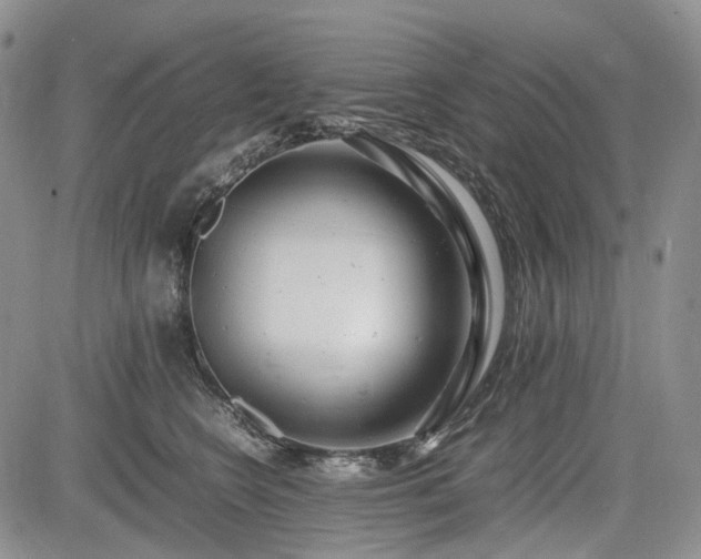 X0000085210566200703161222