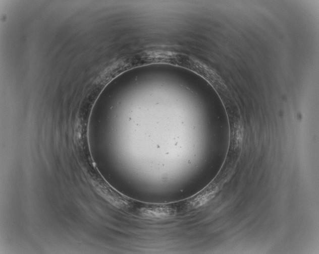 X0000085210567200703161222