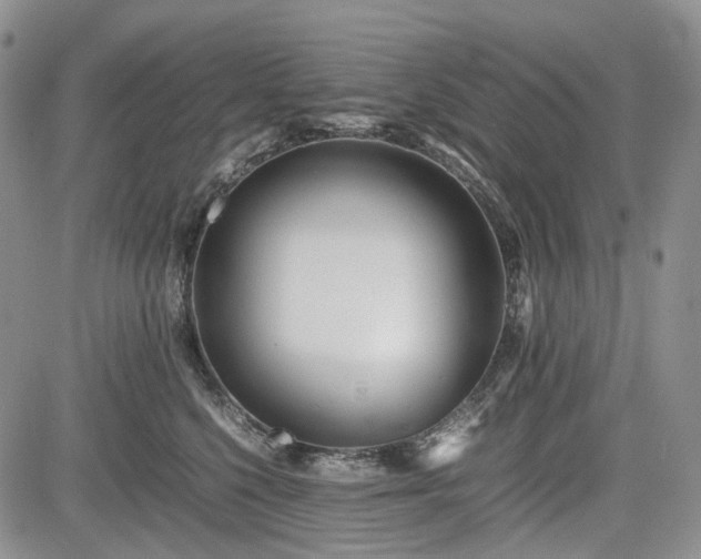 X0000085210568200703161222